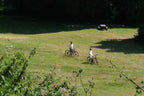 Modèle Vélotaf "Fourche Métal"